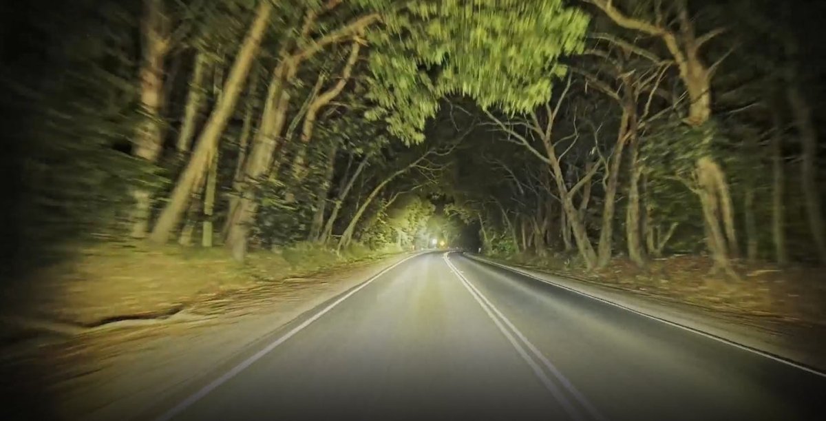 STEDI Type - X Sport Plus 7" - NZ Offroader